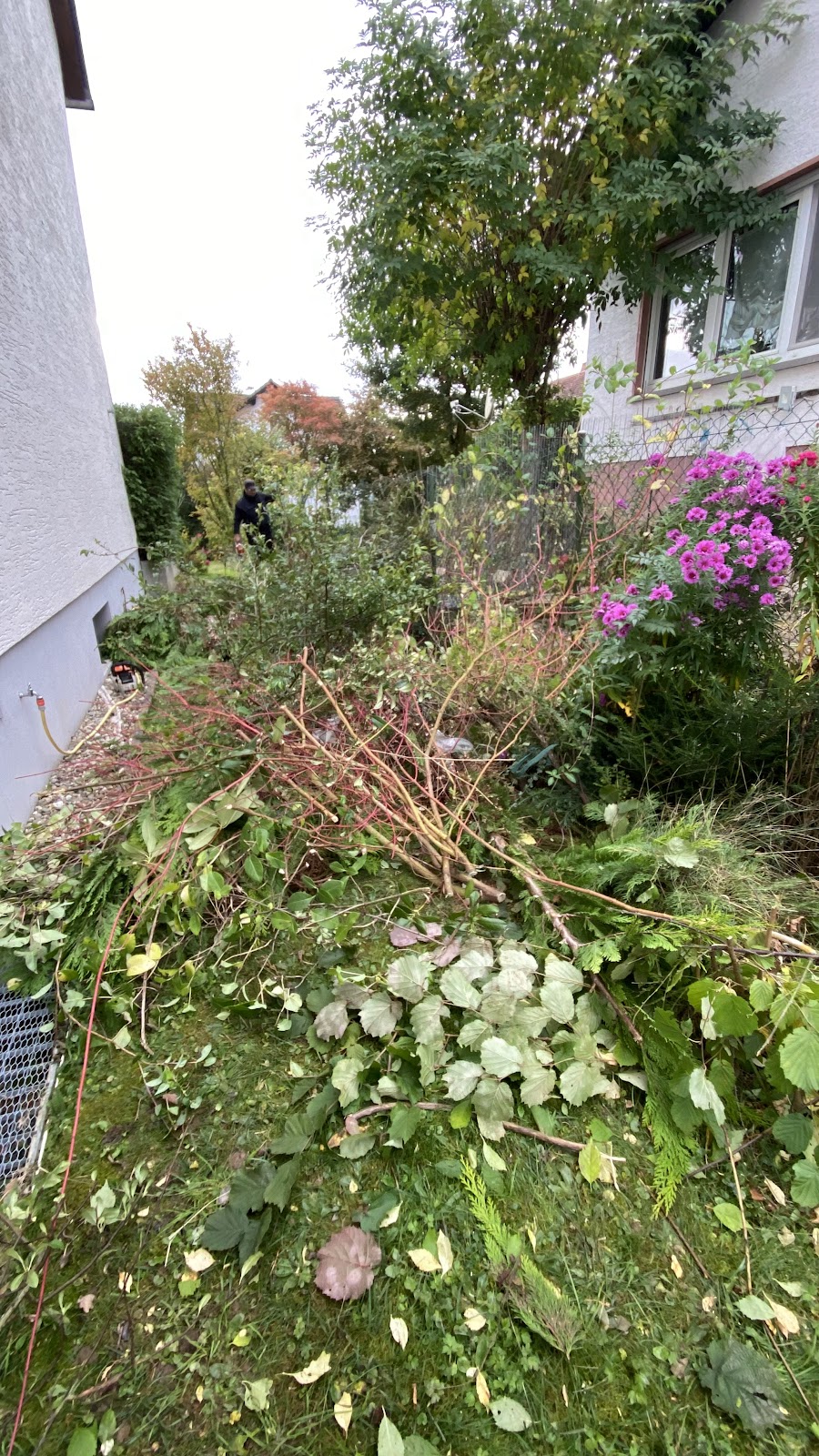 Blühendes Beet