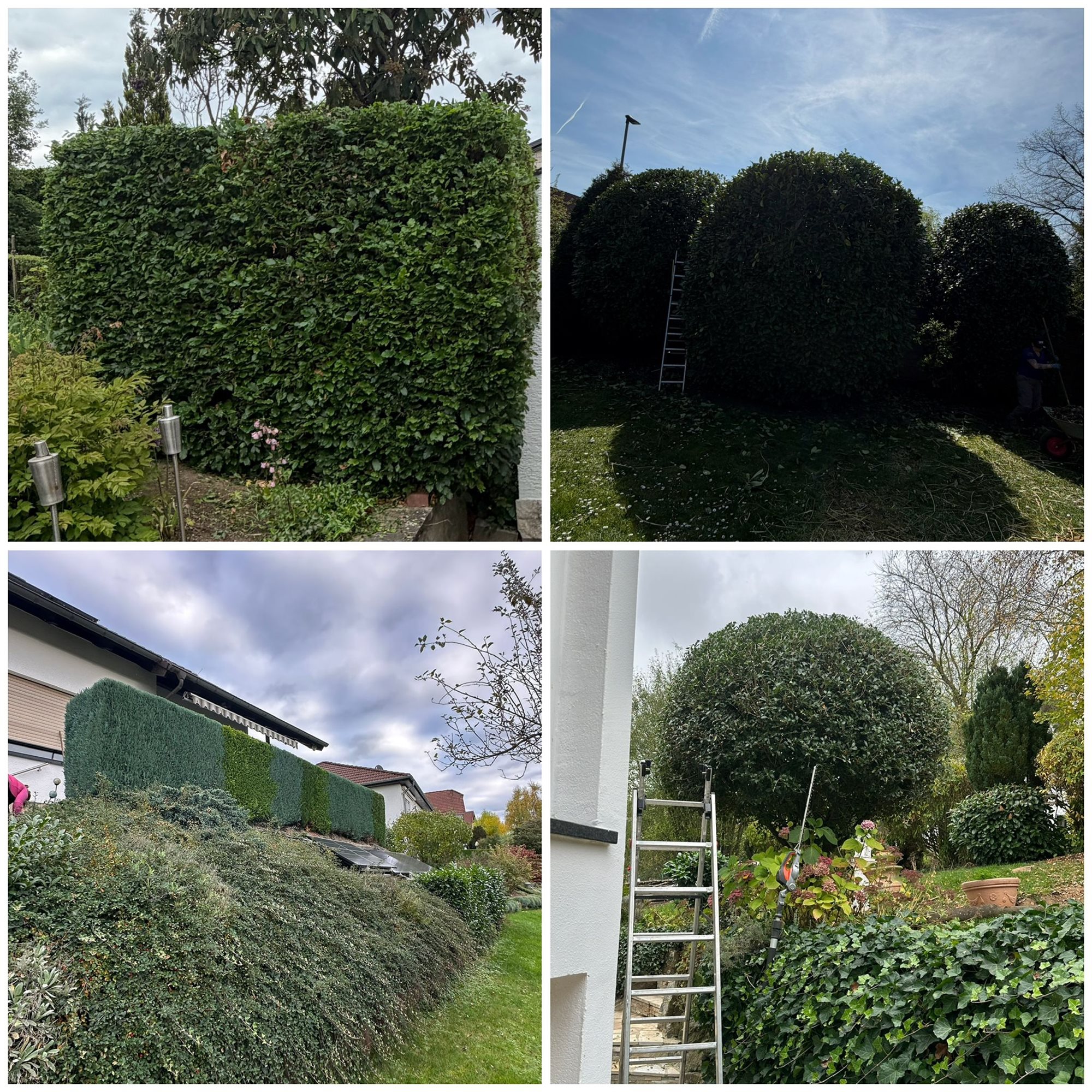 Garten- & Grünflächenpflege