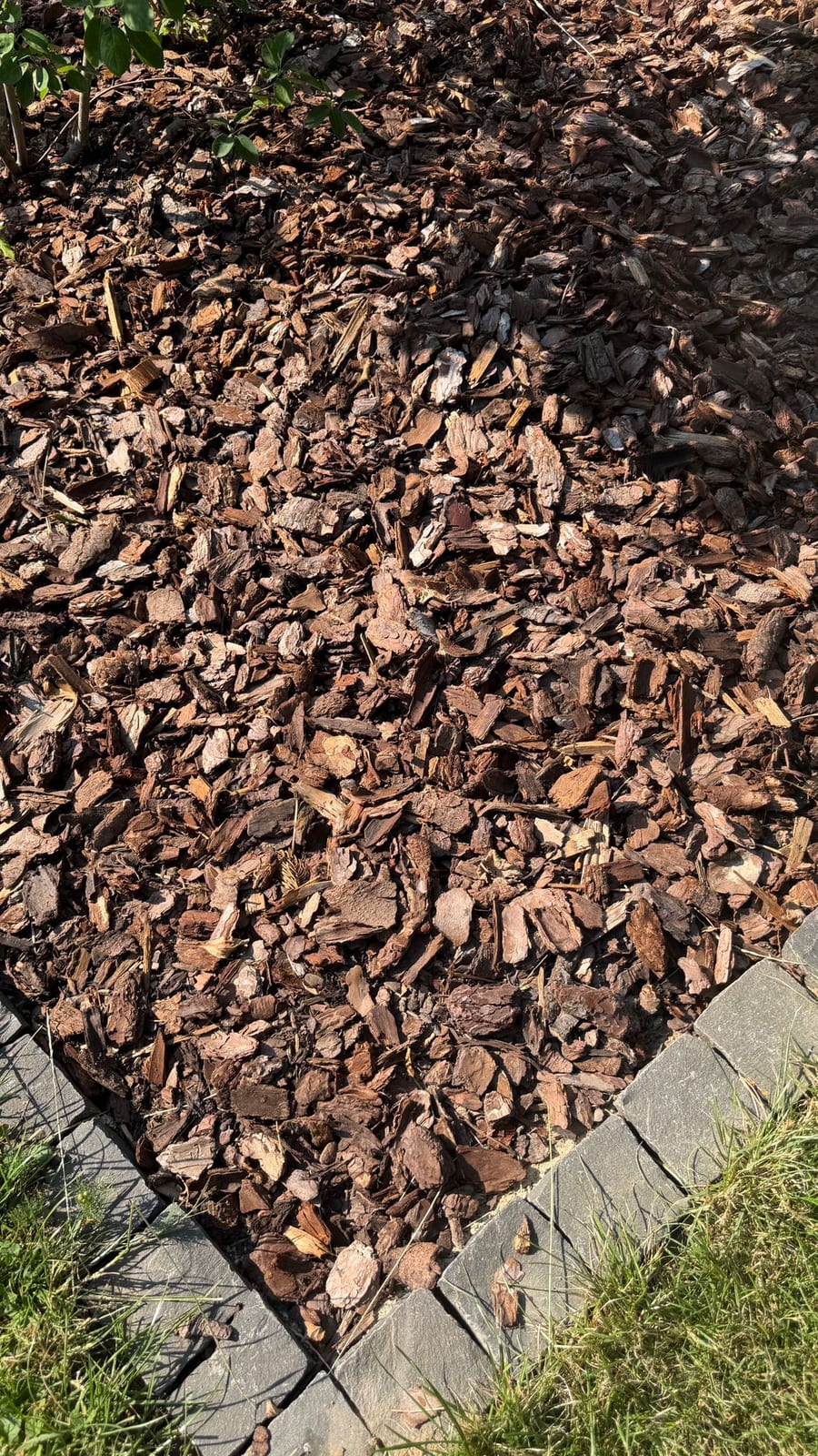 Rindenmulch