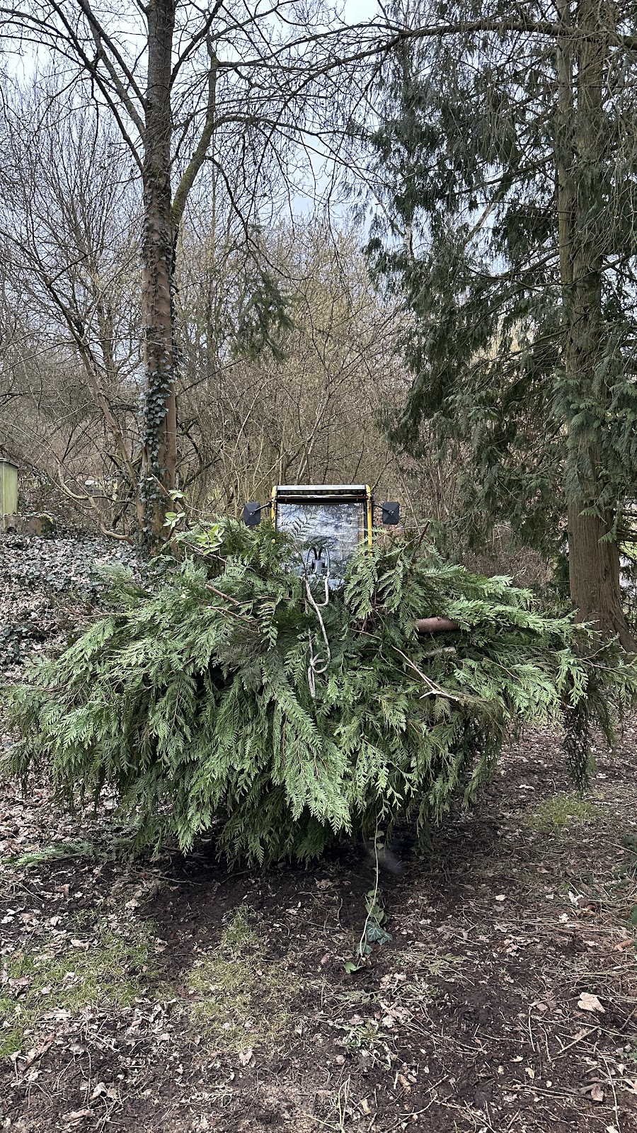 Verwildertes Grundstück